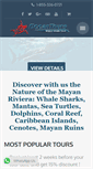 Mobile Screenshot of oceantoursmexico.com